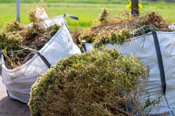 Professional Junk Removal in Chama, NM