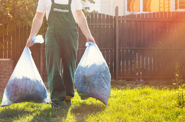 Best Mattress Removal Service  in Chama, NM