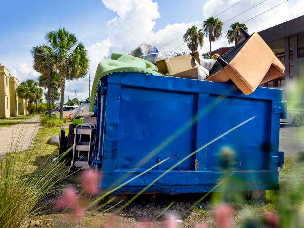 Attic Cleanout Services in Chama, NM
